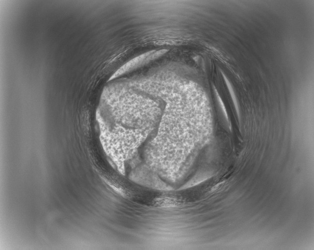 X0000051860211200507221905