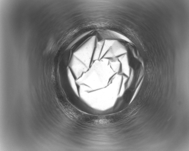 X0000051860212200507221905