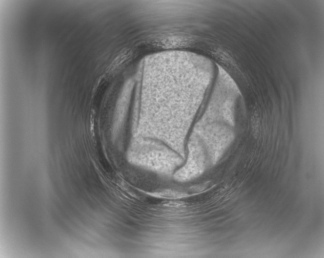 X0000051860214200507221905