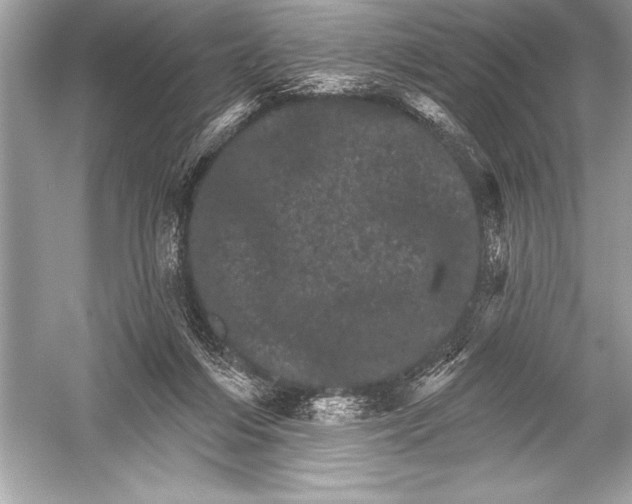 X0000051860216200507221905