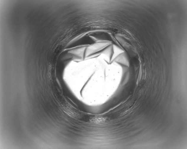 X0000051860217200507221905