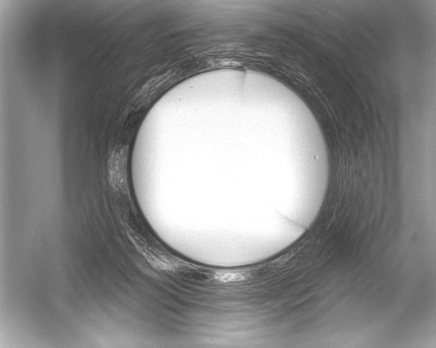 X0000051860218200507221905