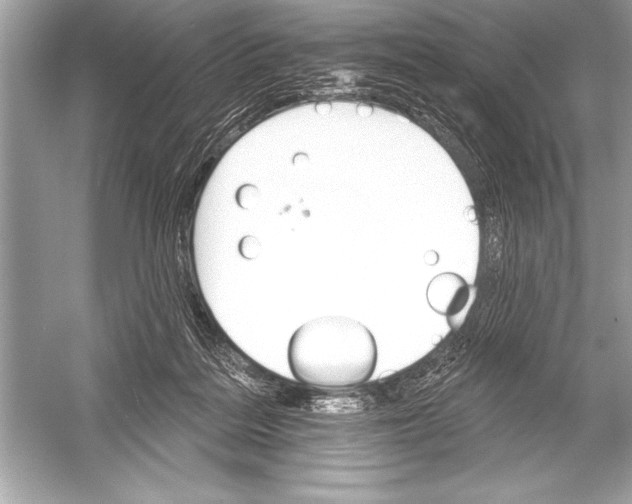 X0000051860220200507221905