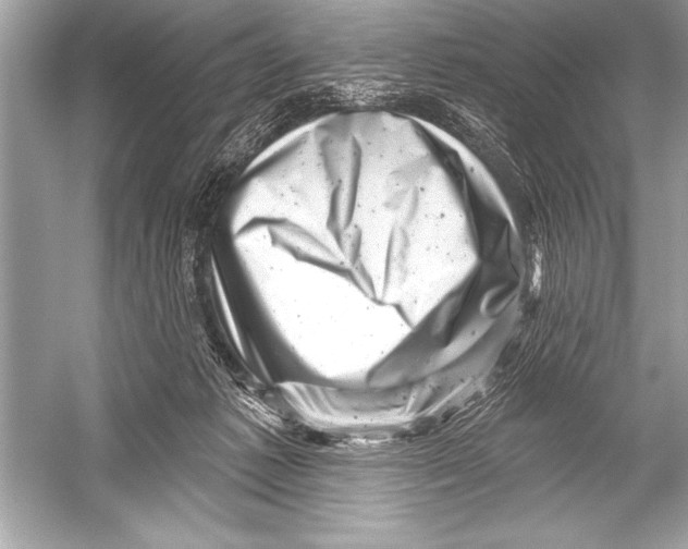 X0000051860221200507221905