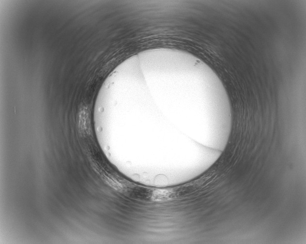 X0000051860222200507221905