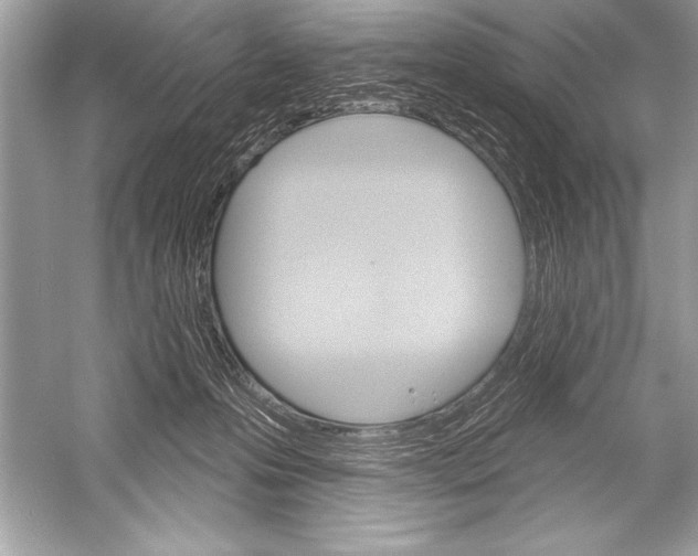 X0000051860223200507221905