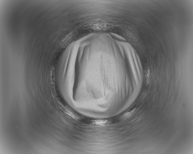 X0000051860233200507221905