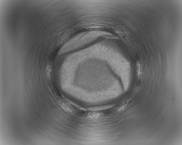 X0000051860235200507221905