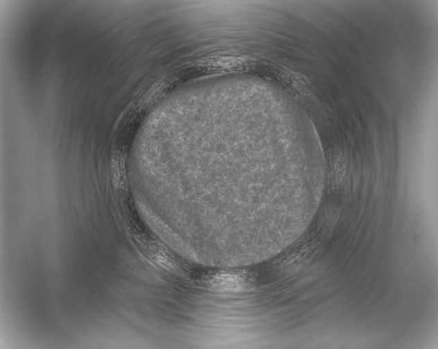 X0000051860236200507221905