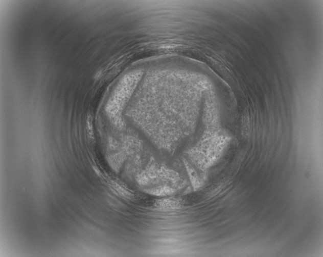 X0000051860238200507221905