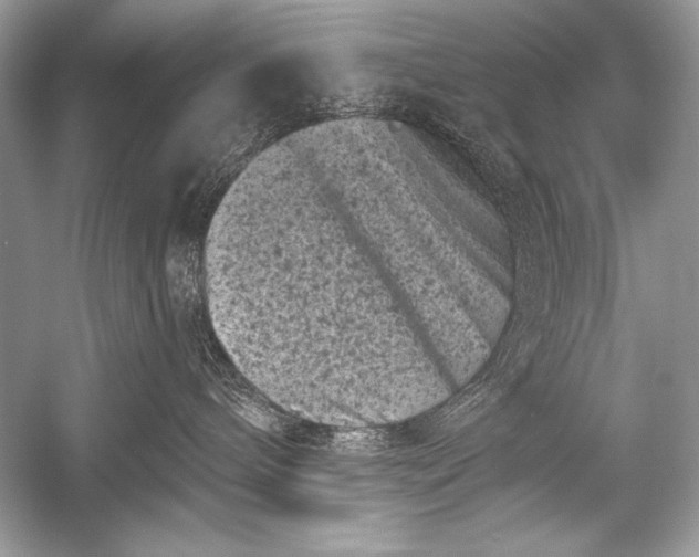 X0000051860240200507221905