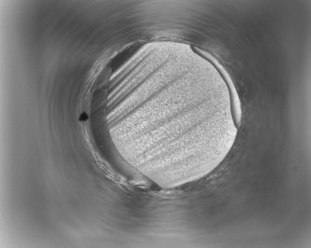 X0000051860241200507221904