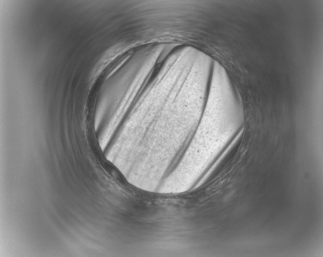 X0000051860242200507221904