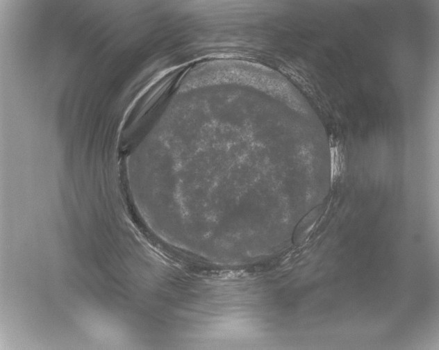 X0000051860243200507221904