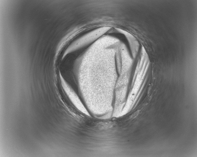 X0000051860245200507221904