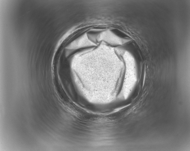 X0000051860246200507221904