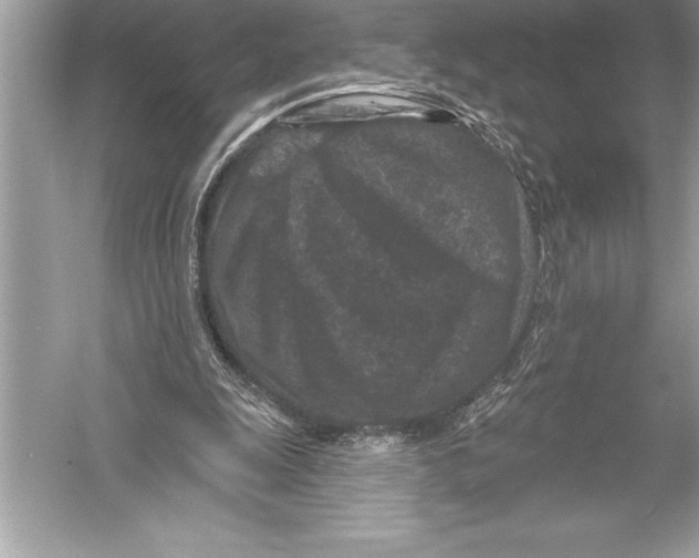 X0000051860247200507221904