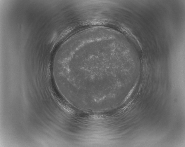 X0000051860250200507221904