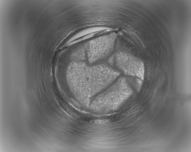 X0000051860251200507221904