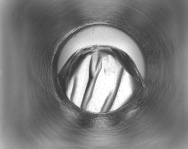 X0000051860252200507221904