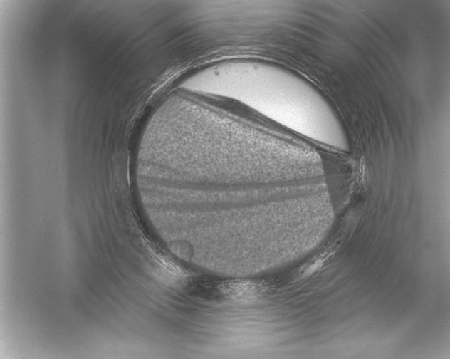 X0000051860253200507221904