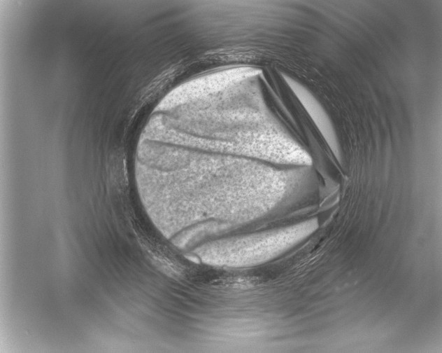 X0000051860254200507221904