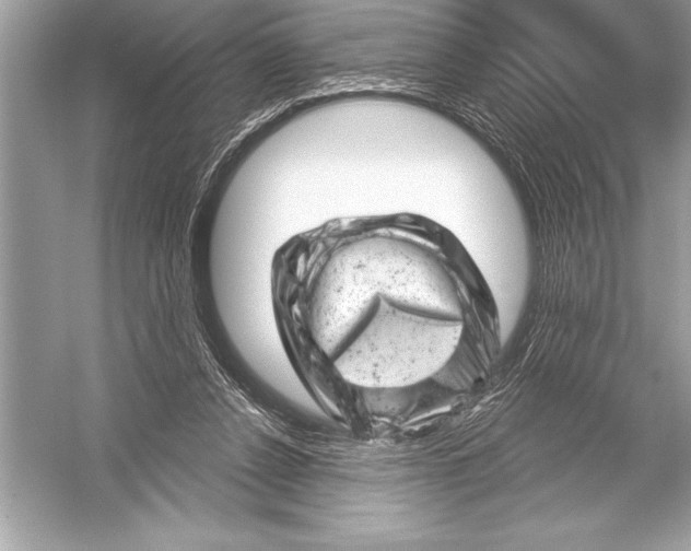 X0000051860256200507221904