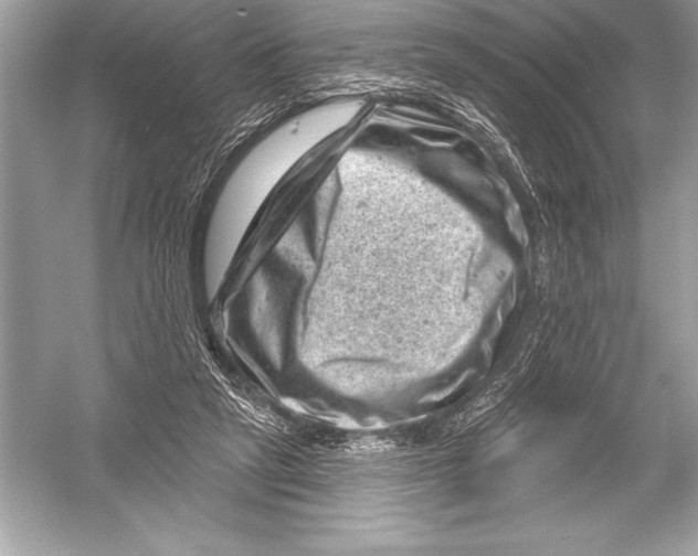 X0000051860257200507221904