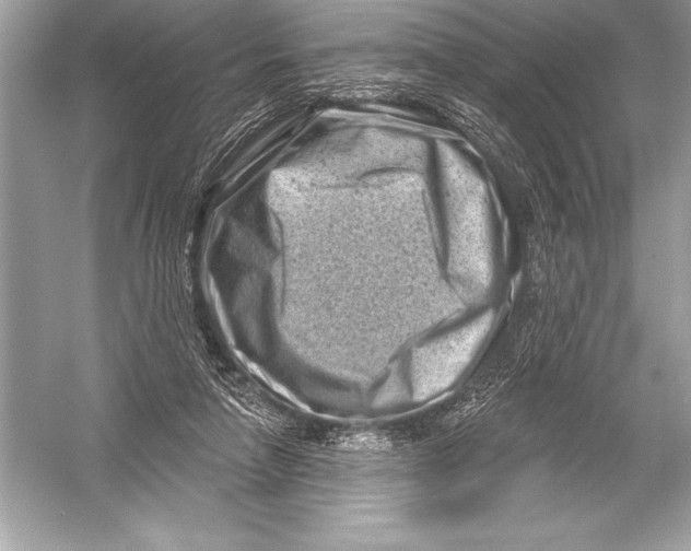 X0000051860258200507221904