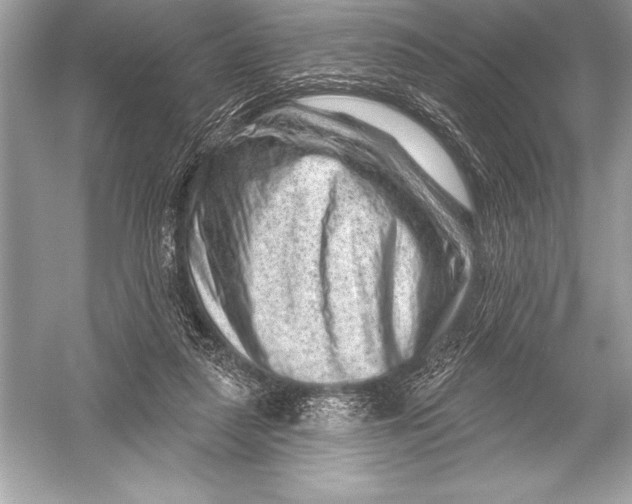 X0000051860259200507221904