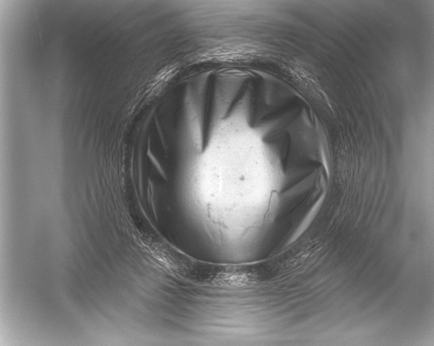 X0000051860260200507221904