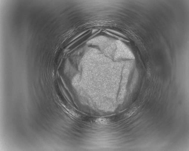 X0000051860261200507221904