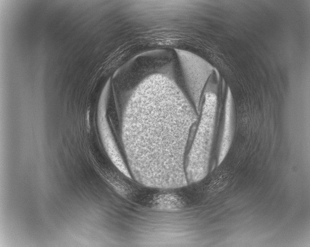 X0000051860262200507221904