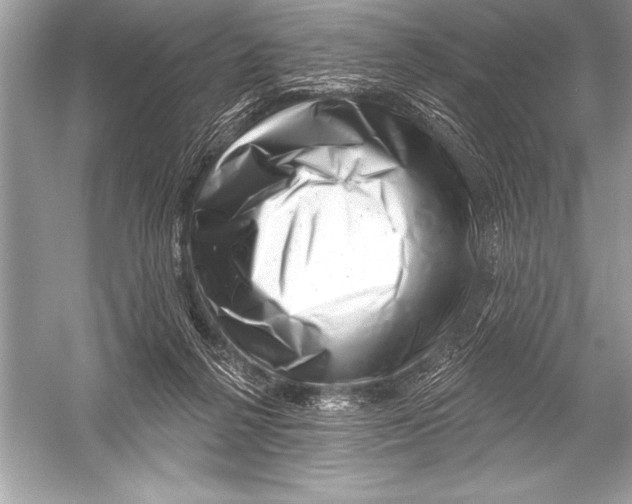 X0000051860264200507221904