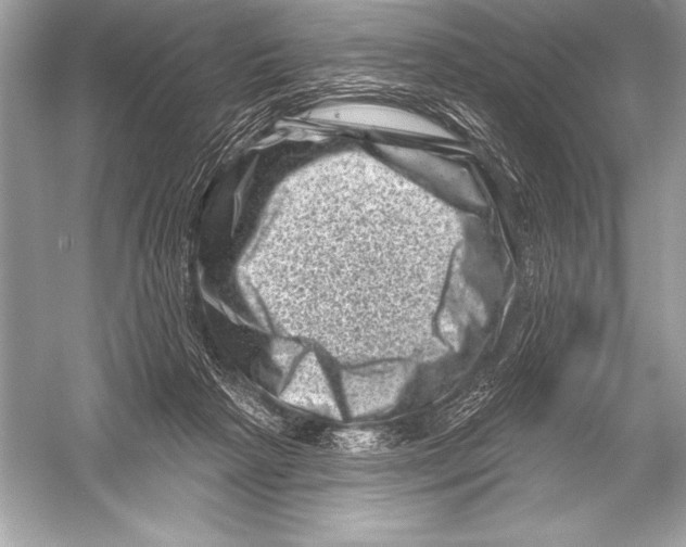 X0000051860265200507221905