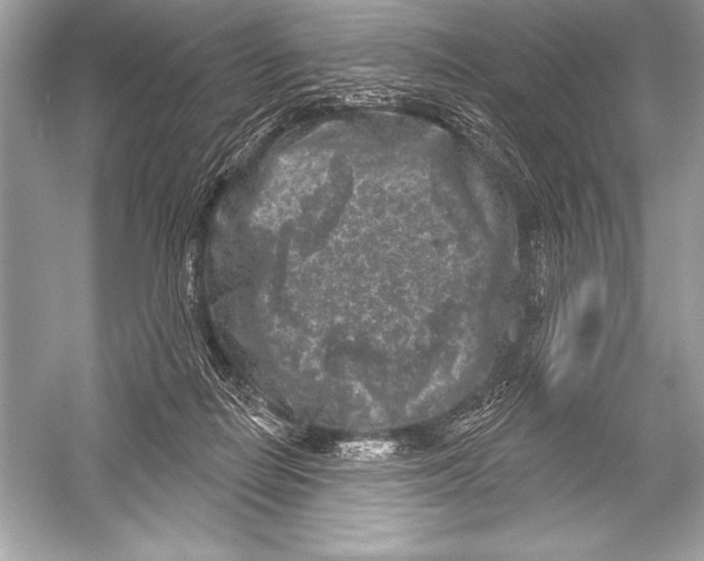 X0000051860266200507221905