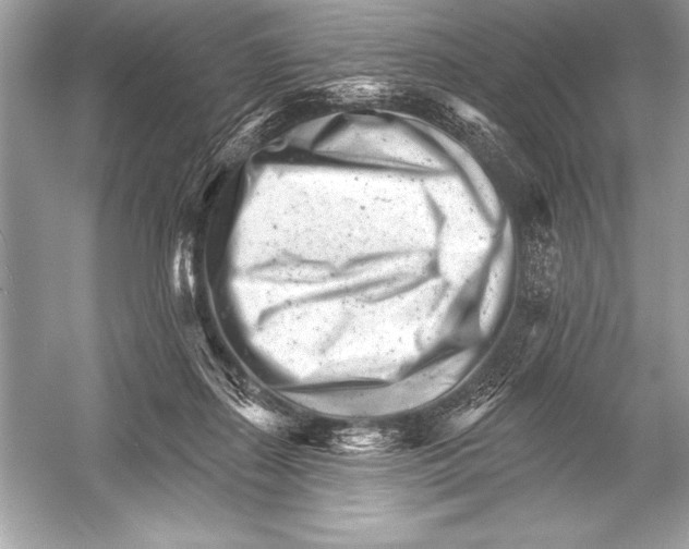 X0000051860267200507221905