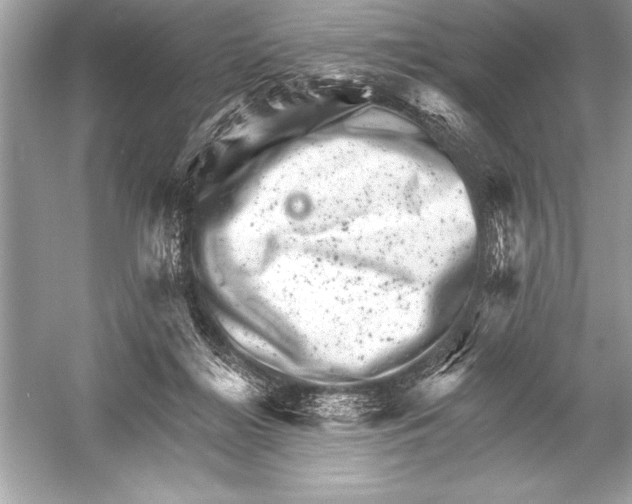 X0000051860268200507221905