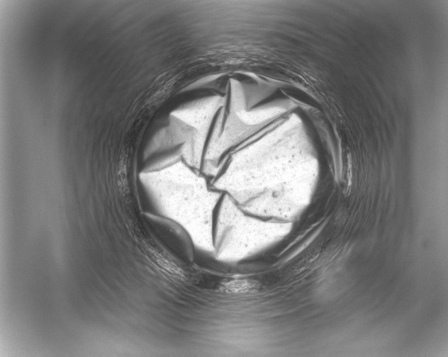 X0000051860269200507221905