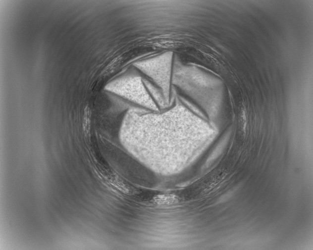 X0000051860271200507221905