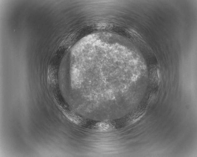 X0000051860272200507221905