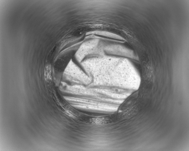 X0000051860273200507221905