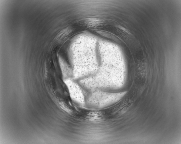 X0000051860275200507221905