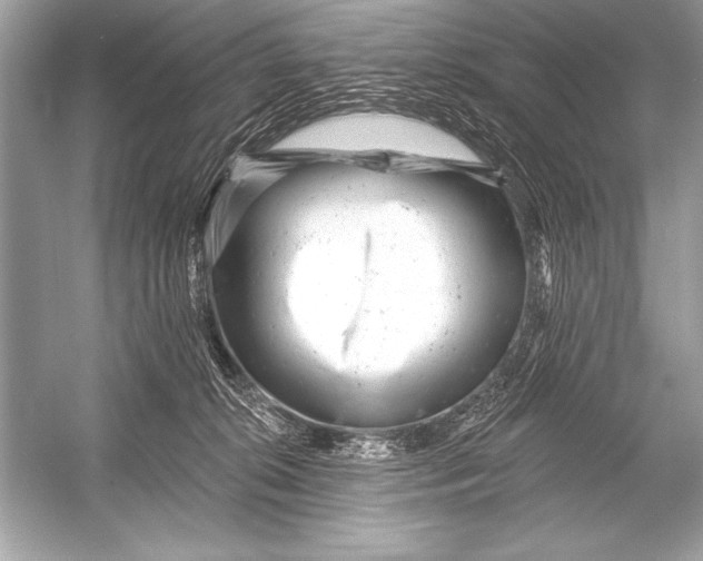 X0000051860276200507221905