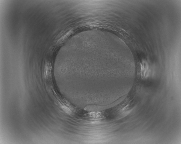 X0000051860279200507221905