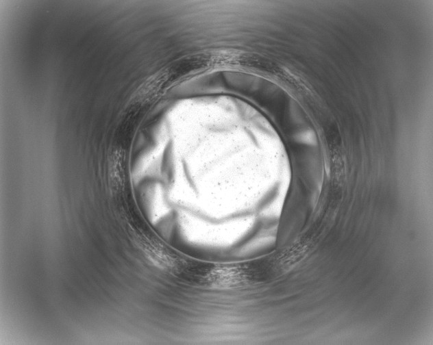 X0000051860280200507221905