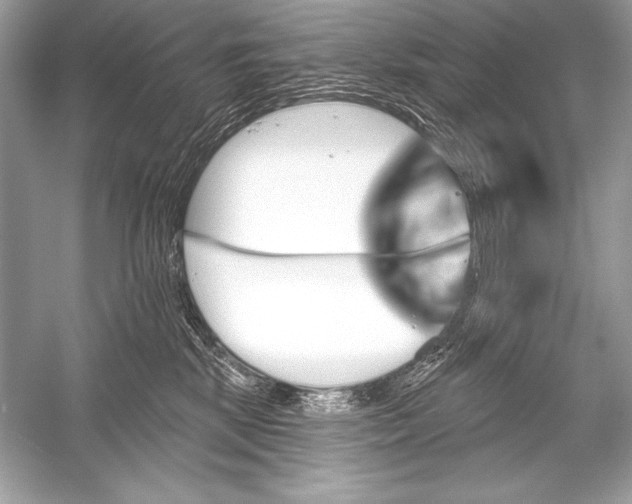 X0000051860281200507221905