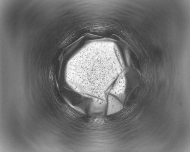 X0000051860282200507221905