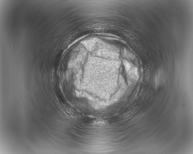 X0000051860283200507221905