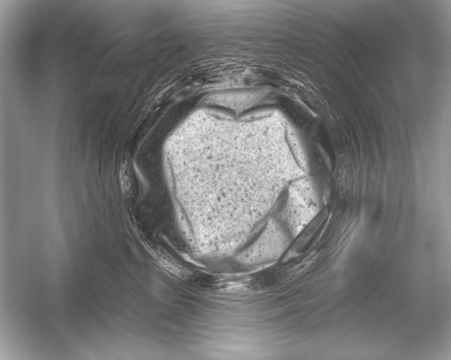 X0000051860285200507221905